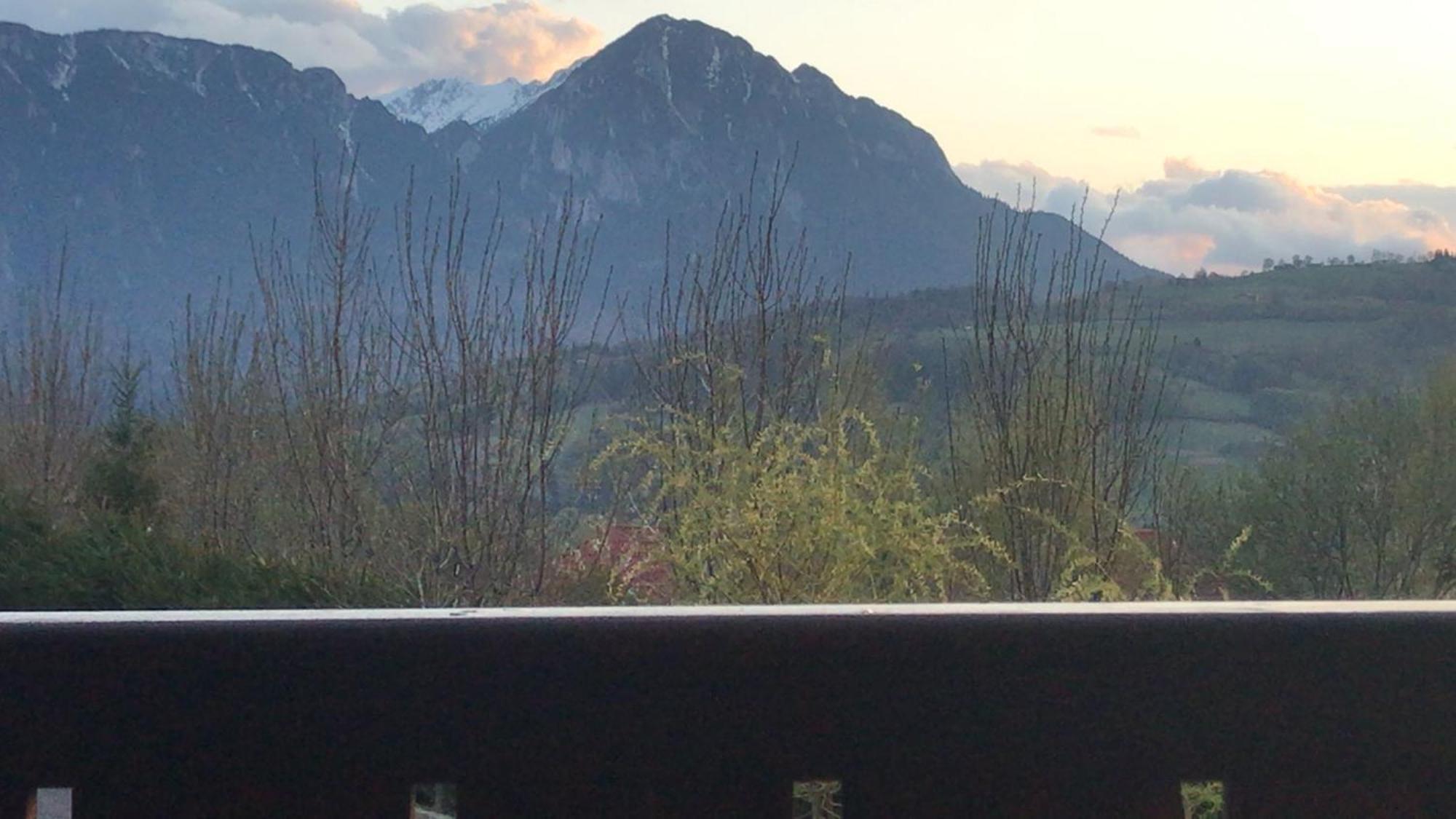 Pension Chalet Poiana Marului Ranch Экстерьер фото
