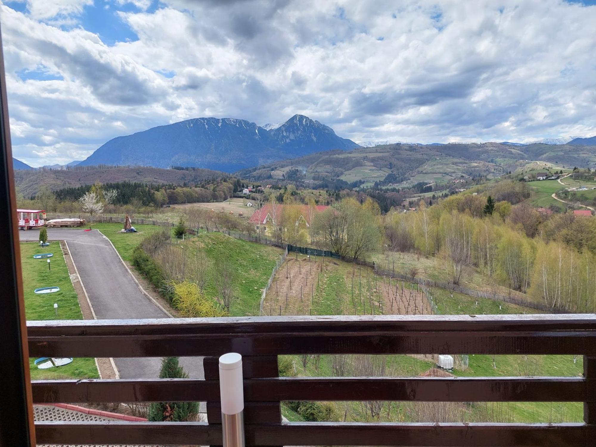 Pension Chalet Poiana Marului Ranch Экстерьер фото